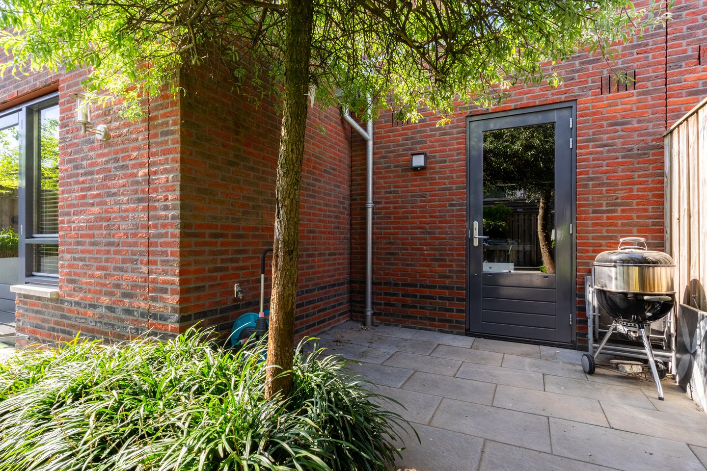 Foto 49 van Buizerd 98