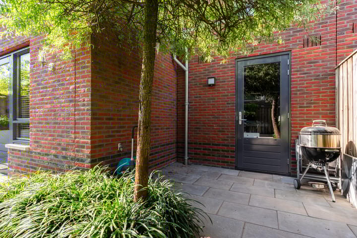 Photo 49 of Buizerd 98