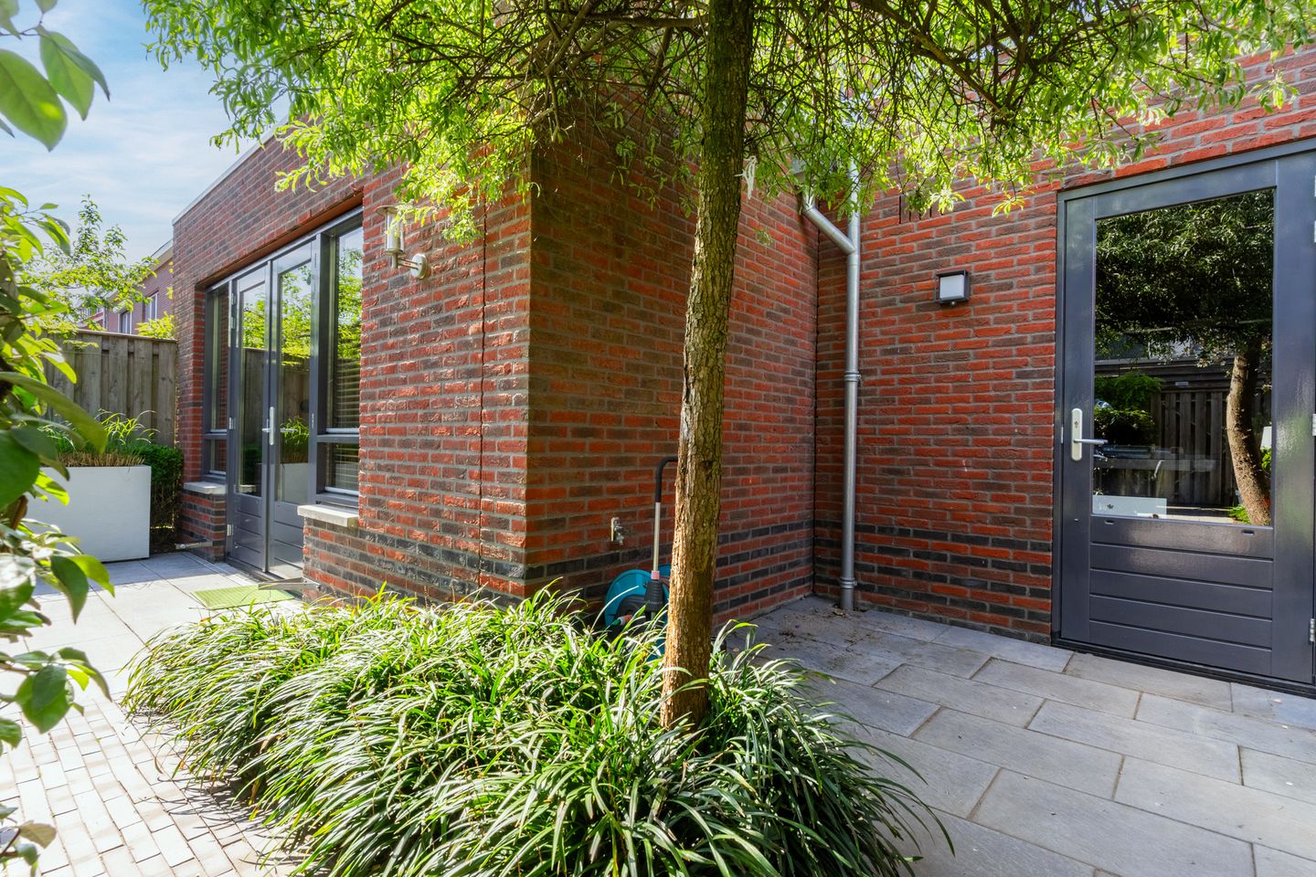 Foto 50 van Buizerd 98