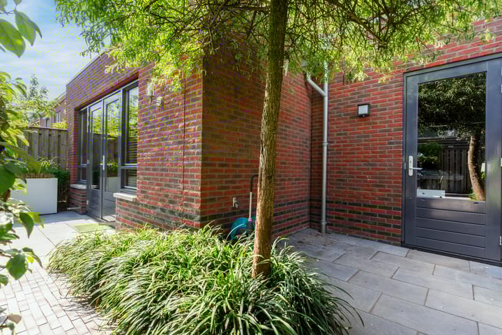 Photo 50 of Buizerd 98