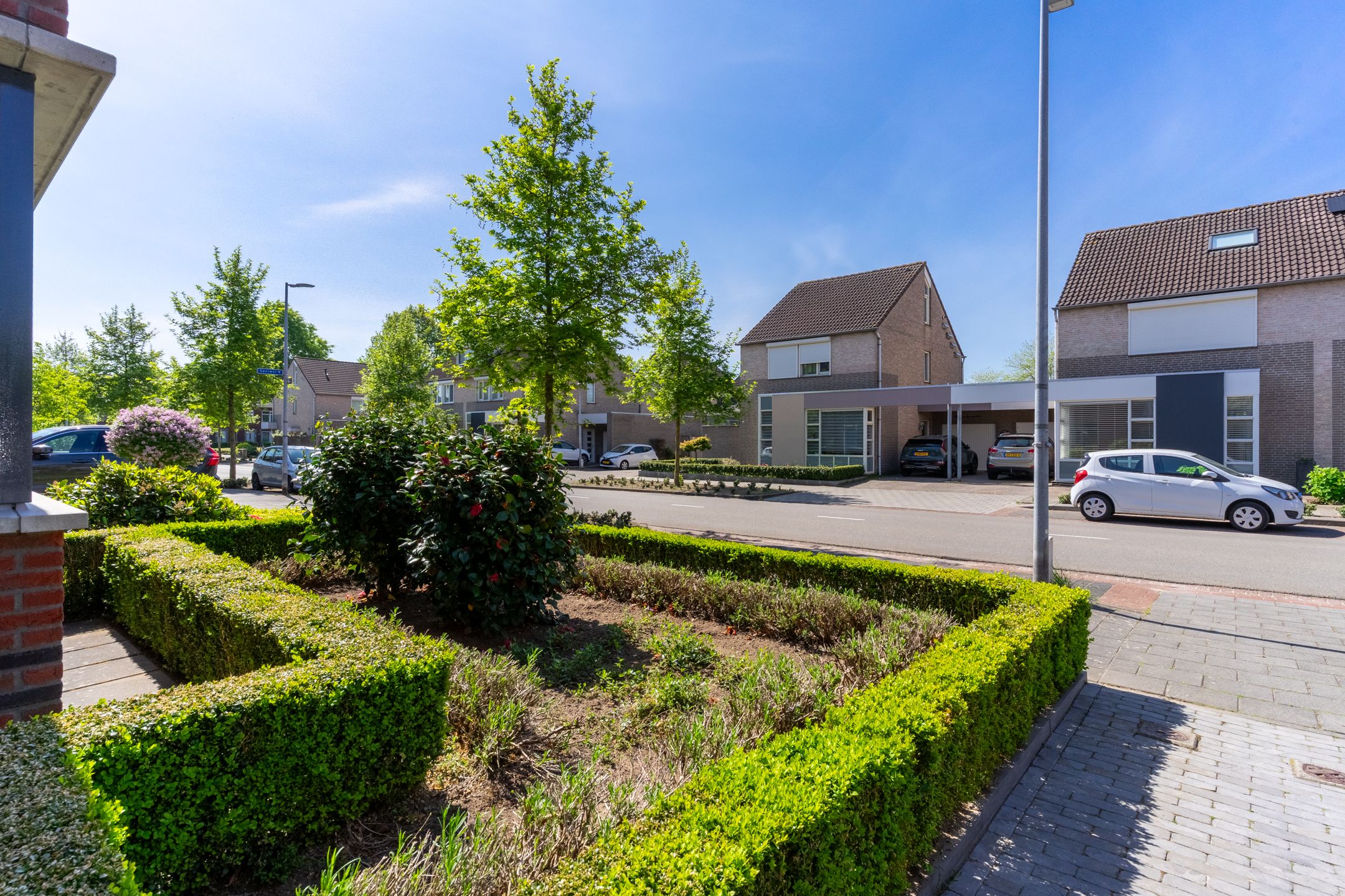 Foto 51 van Buizerd 98