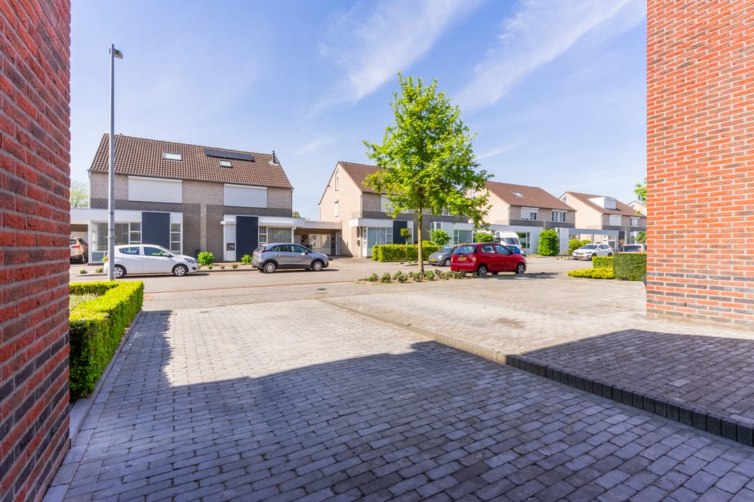 Foto 52 van Buizerd 98