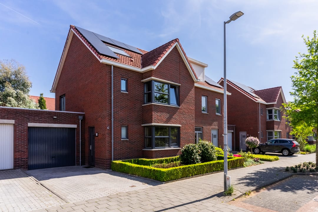 Foto 53 van Buizerd 98