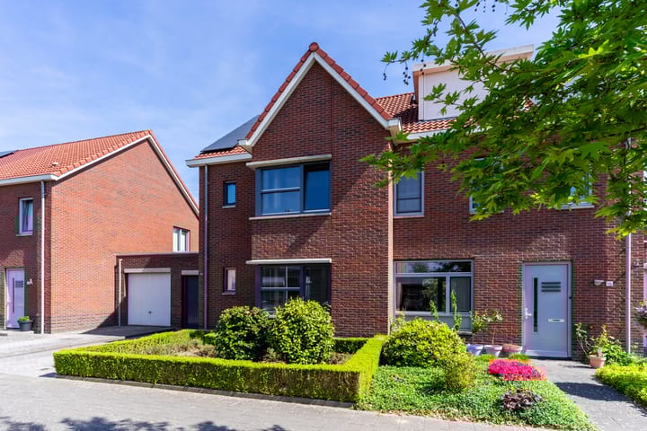 Photo 54 of Buizerd 98