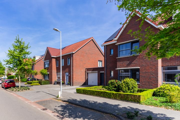 Photo 55 of Buizerd 98