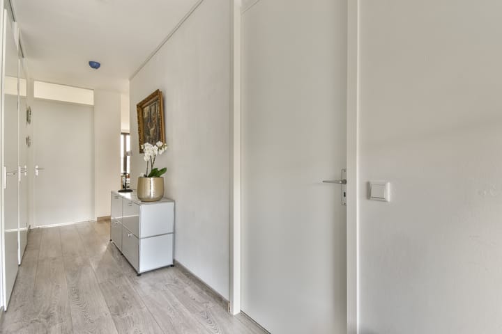 Foto 18 van Erich Salomonstraat 154