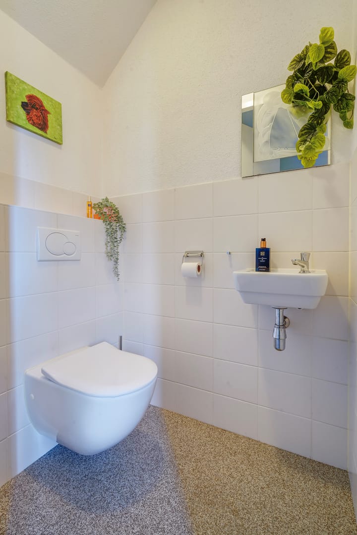 Foto 9 van Juttepeer 31