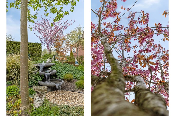 Foto 40 van Maisakker 2