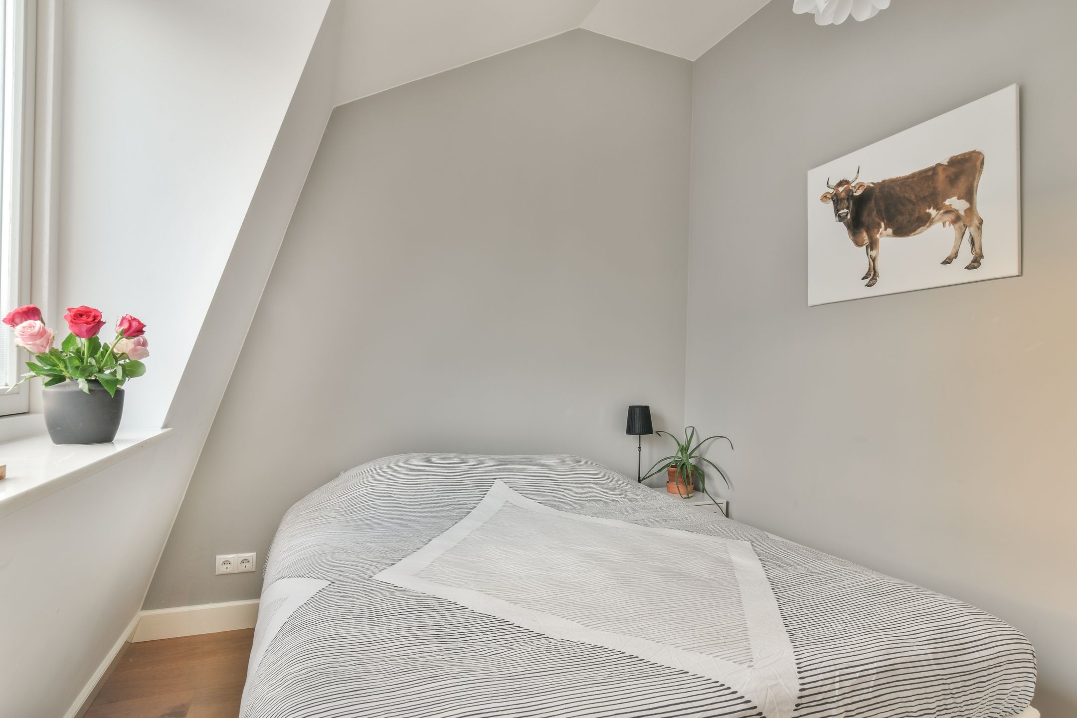 Foto 30 van Pieter Kiesstraat 18