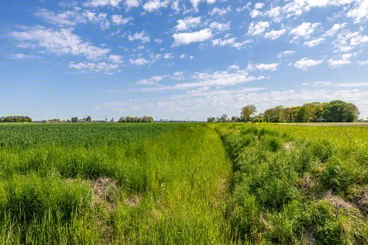 Photo 53 of Oosternielandsterweg 6