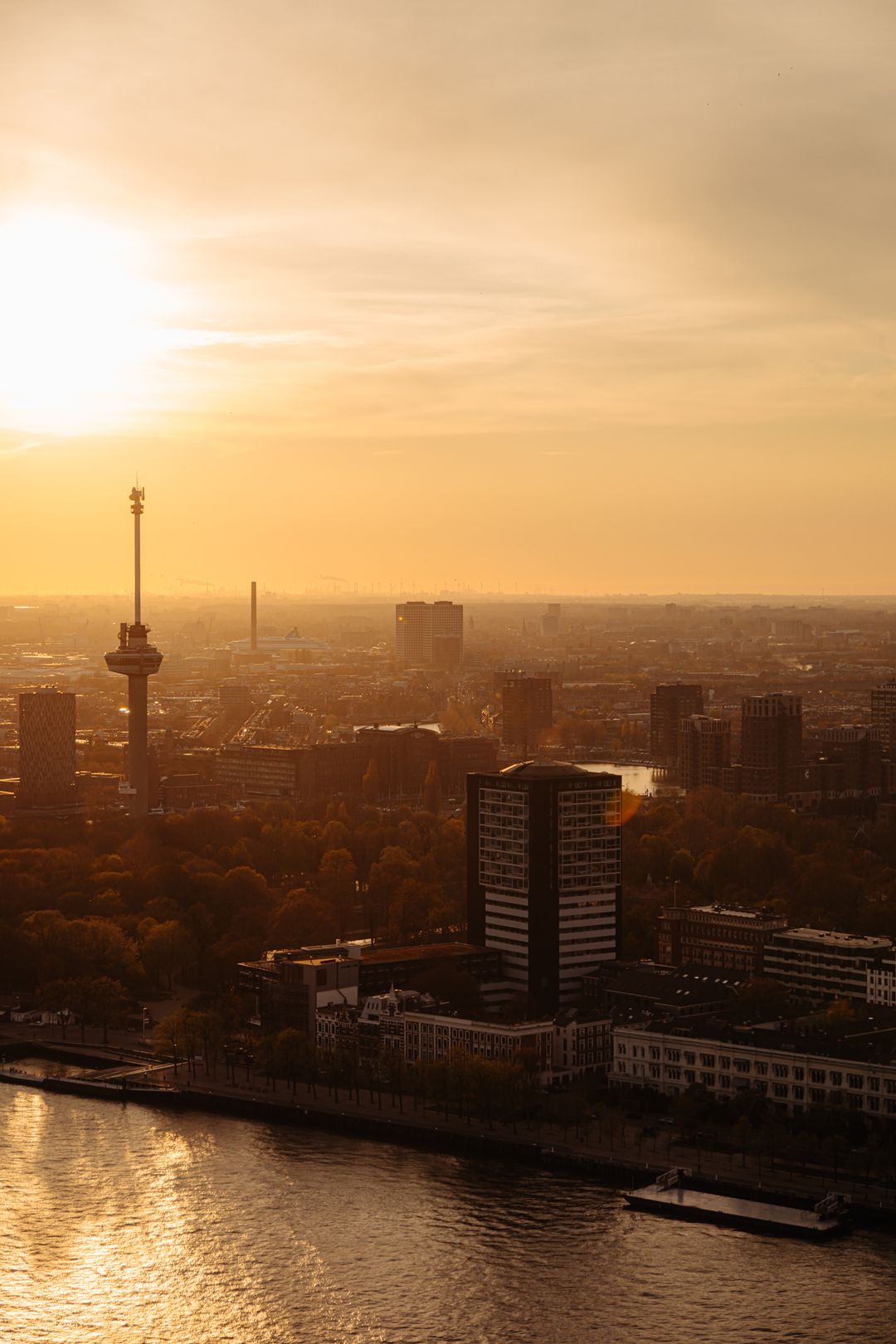 Foto 13 van Landverhuizersplein 149