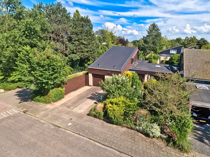 Photo 38 of Prins Constantijnlaan 2