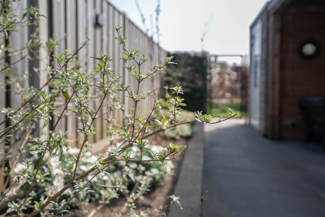 Foto 2 van Esdoornlaan 5-A