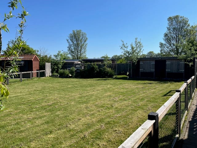 Photo 1 of Paasdijkweg 1-F