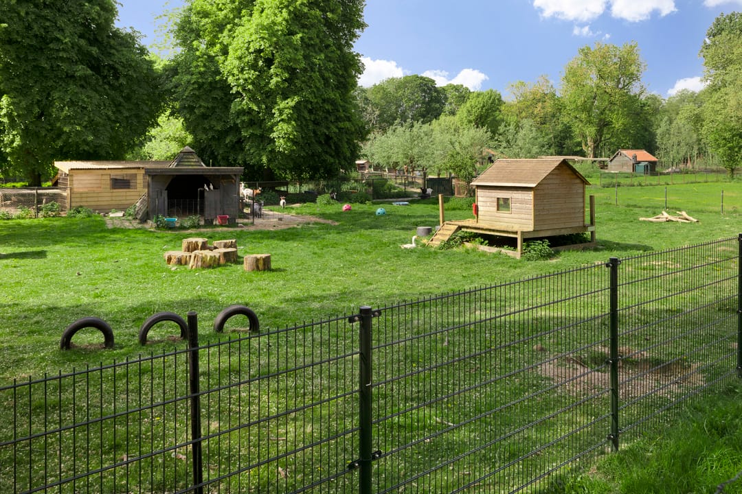 Foto 26 van Kruiskampsingel 349