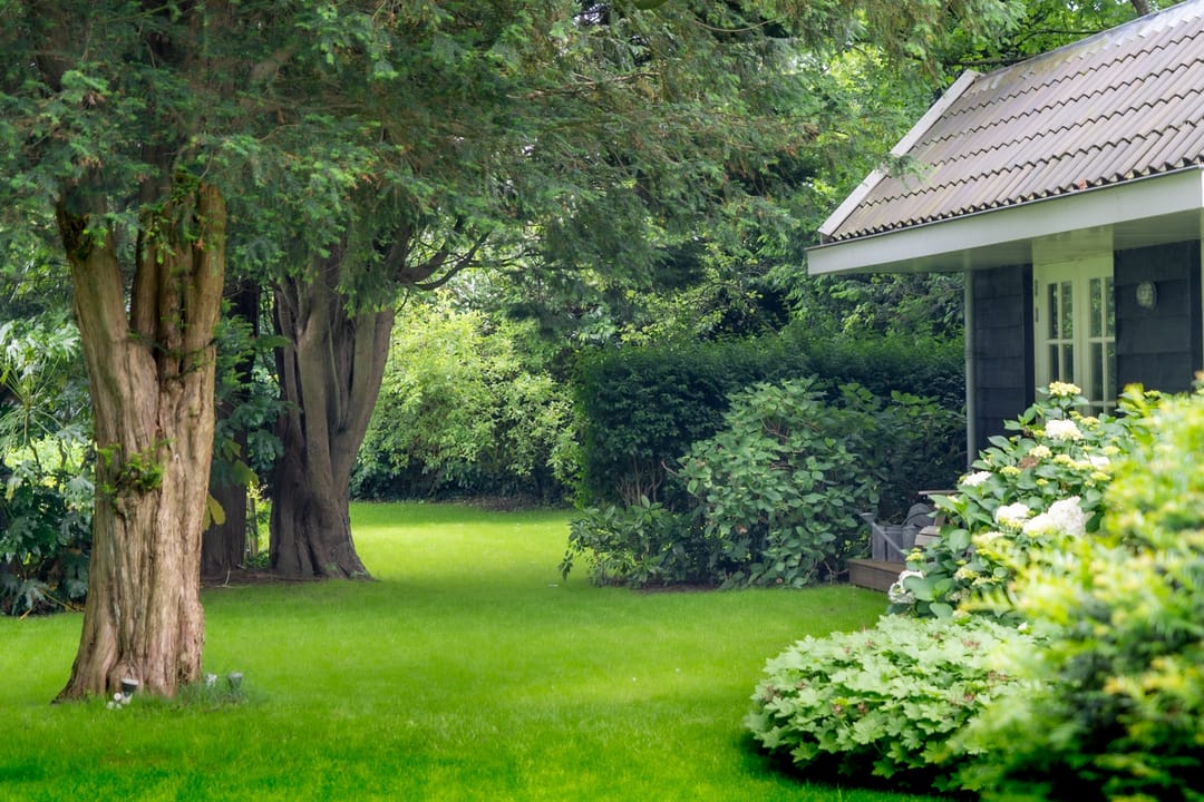 Foto 68 van Rijksweg 56