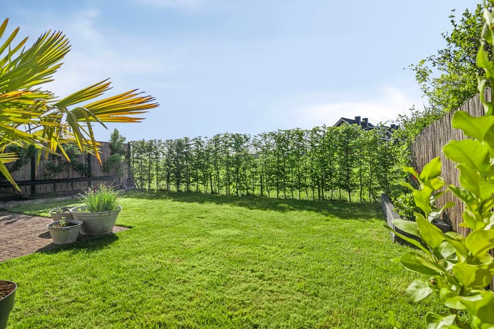 Foto 37 van Valkappel 32