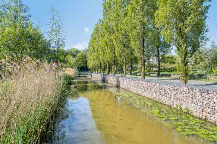 Foto 29 van Concordialaan 50