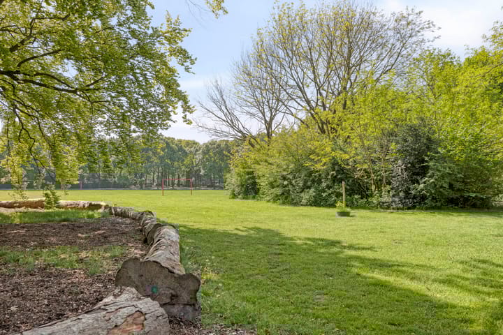 Foto 33 van Van Anrooijstraat 52