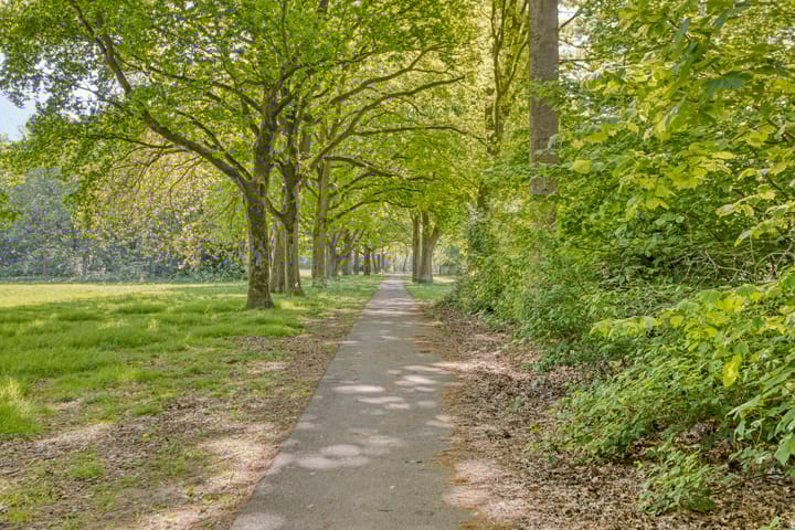 Foto 34 van Van Anrooijstraat 52