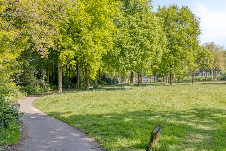 Foto 35 van Van Anrooijstraat 52