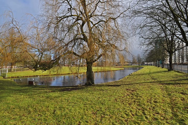 Foto 3 van Boekweitlaan 75