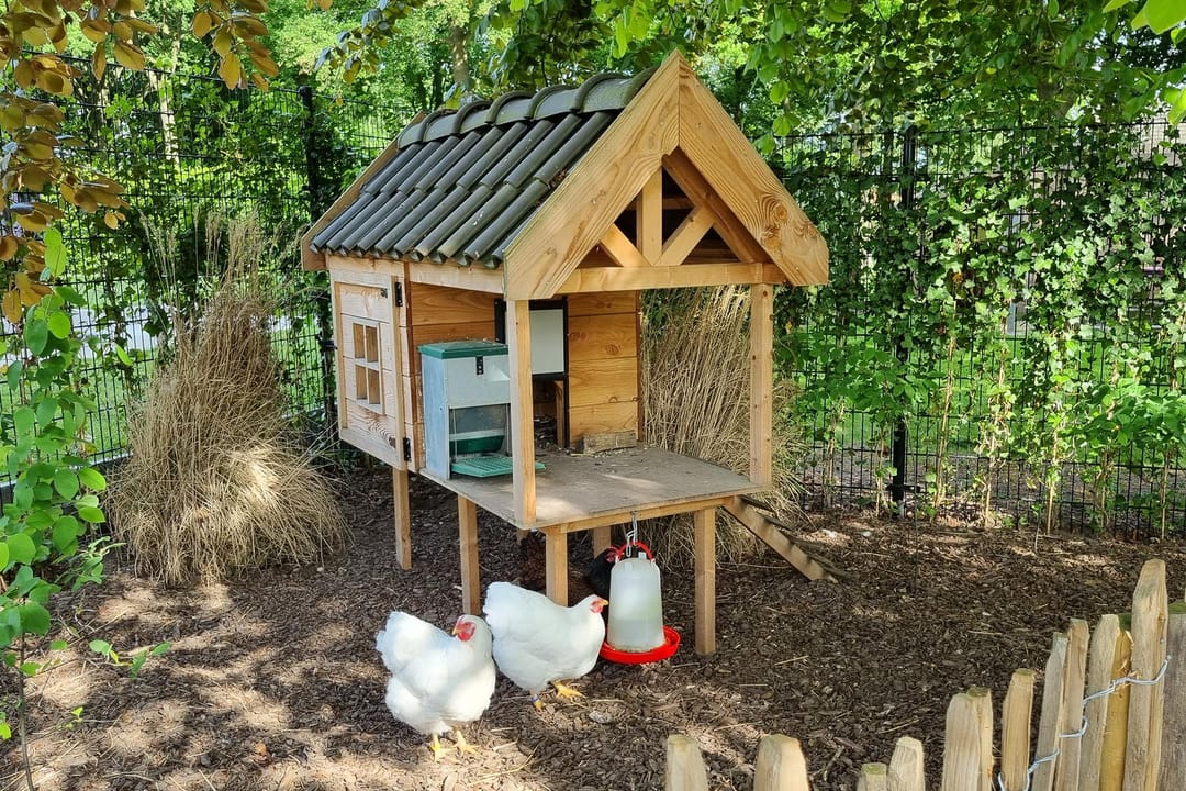 Photo 43 of Nieuwe Veldenweg 4