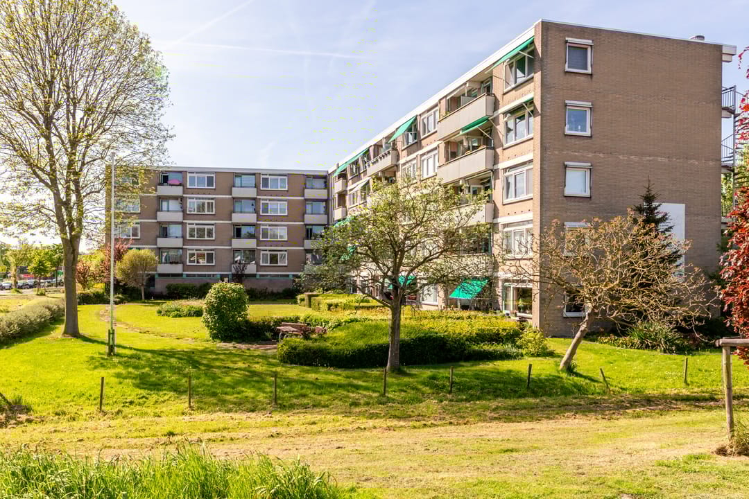 Foto 41 van Zuiderweg 201