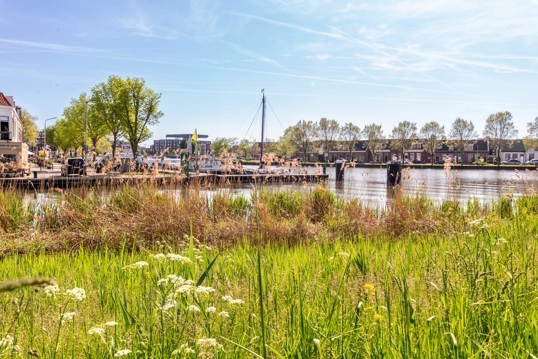 Foto 46 van Zuiderweg 201