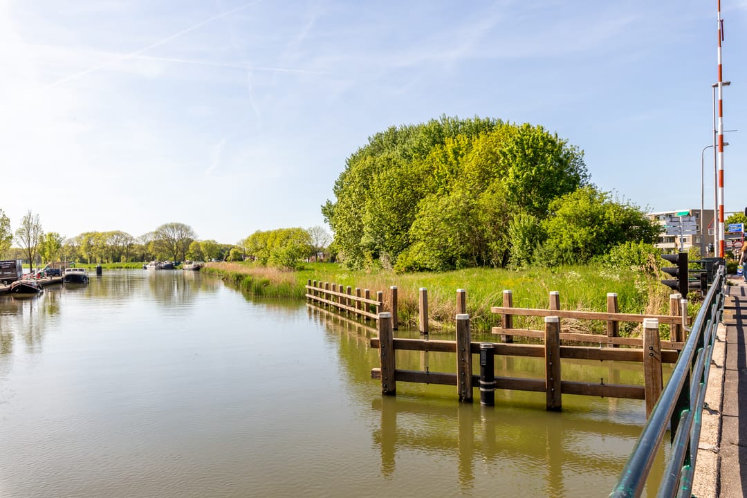 Foto 47 van Zuiderweg 201