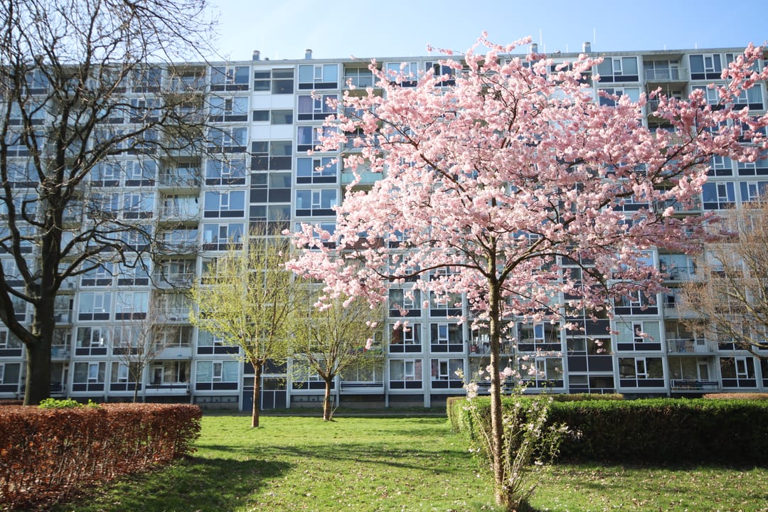 Foto 1 van Dommeringdreef 45