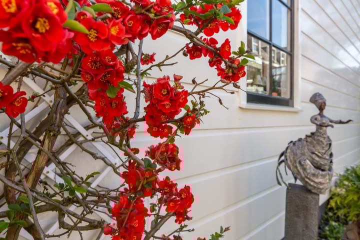 Foto 35 van Kleterstraat 5