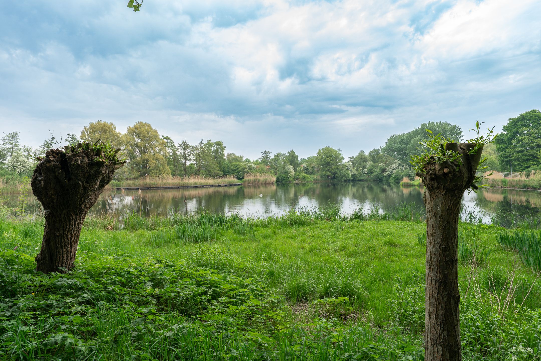 Foto 36 van Vechtstraat 118