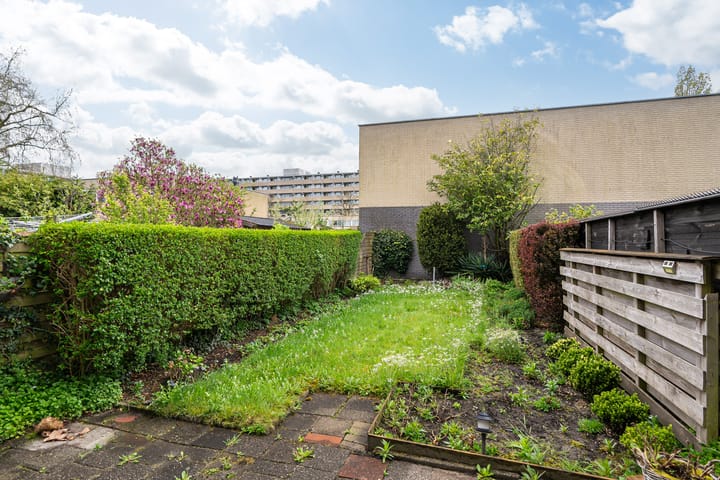 Foto 8 van de Dulf 53