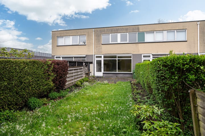 Foto 9 van de Dulf 53