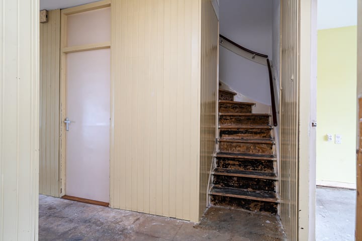 Foto 14 van de Dulf 53