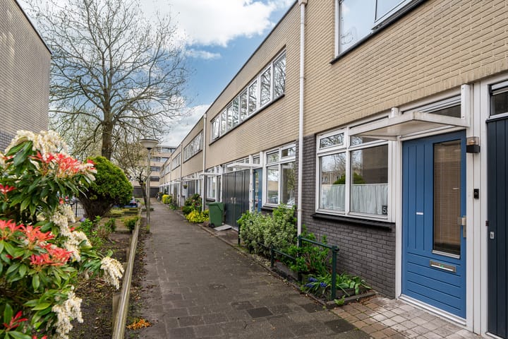 Foto 29 van de Dulf 53