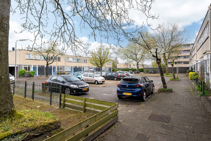 Foto 32 van de Dulf 53