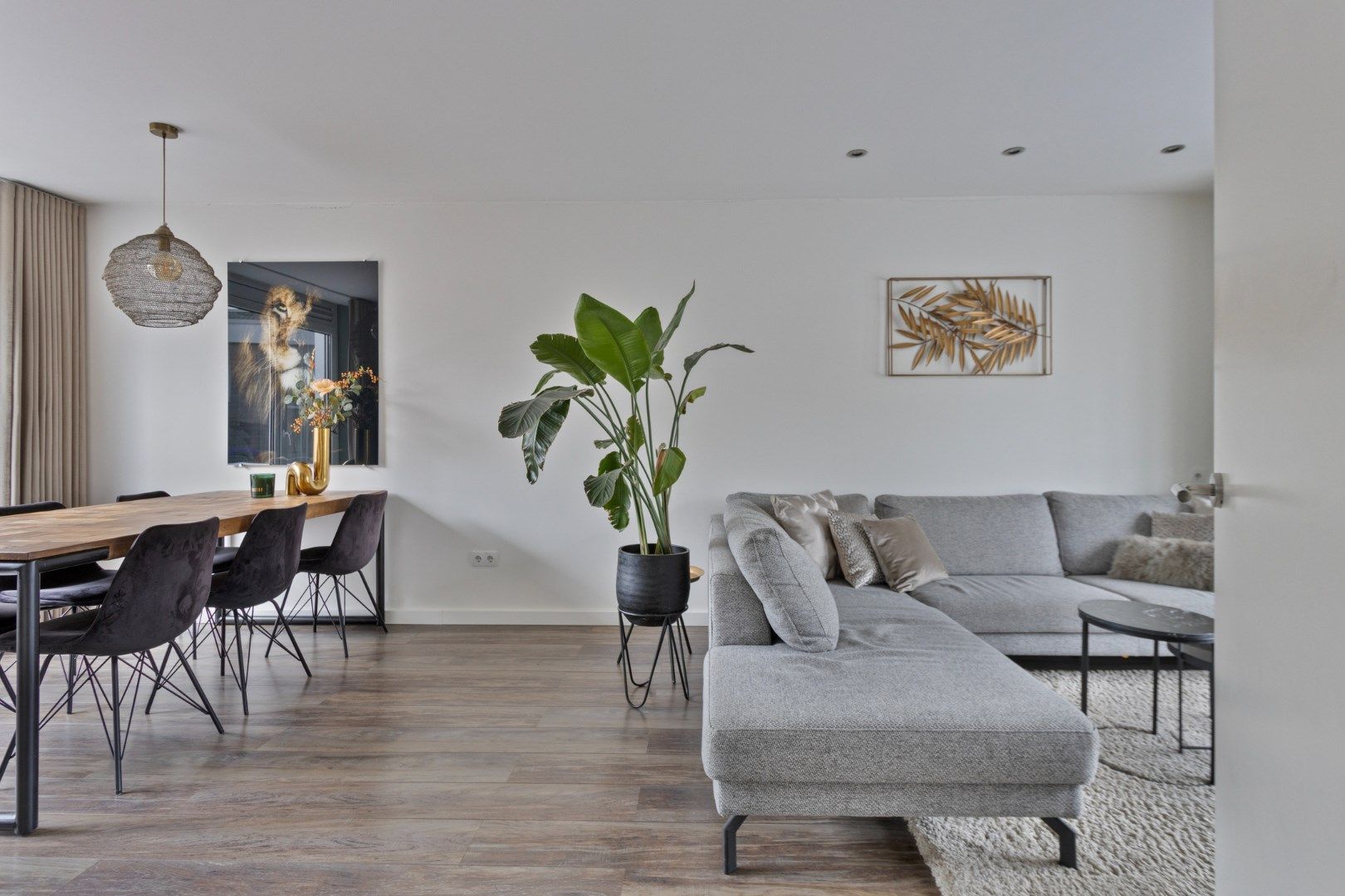 Foto 3 van Kortestraat 3