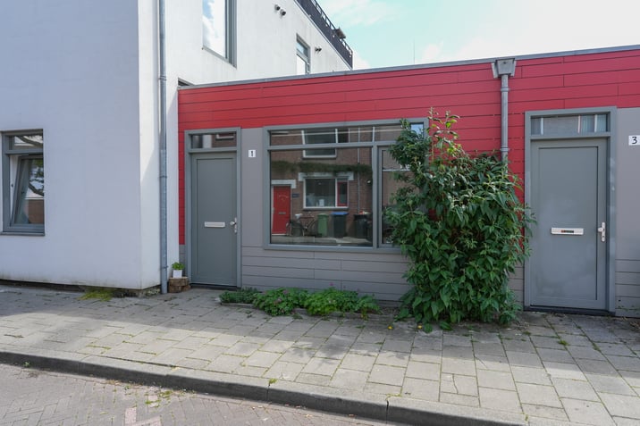 undefined main image