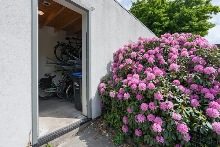 Foto 23 van Bosbesstraat 1