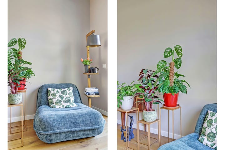 Foto 17 van Hooge Riet 13