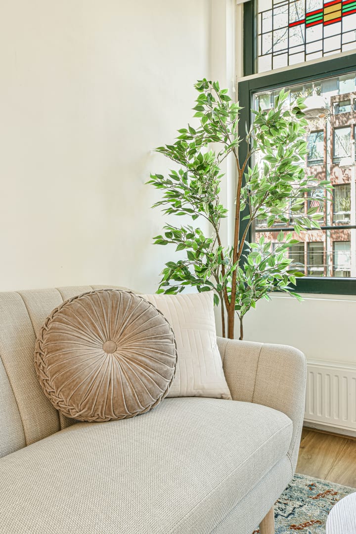 Photo 21 of Czaar Peterstraat 170-B