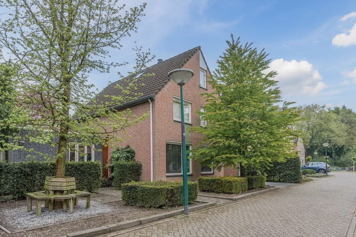 Foto 2 van Gemini 50