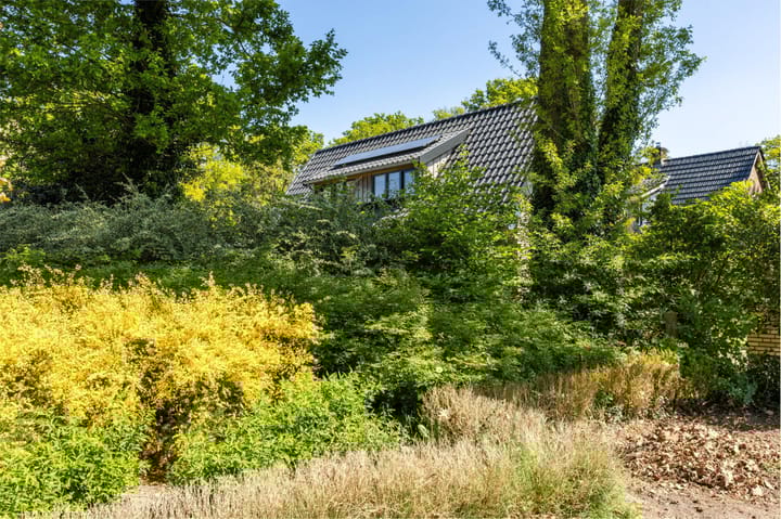 Foto 48 van Oudeweg 18