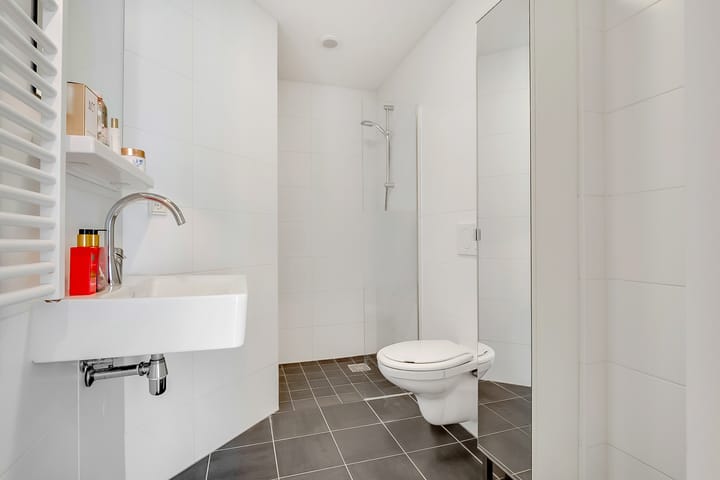 Foto 4 van Theseusstraat 16-2