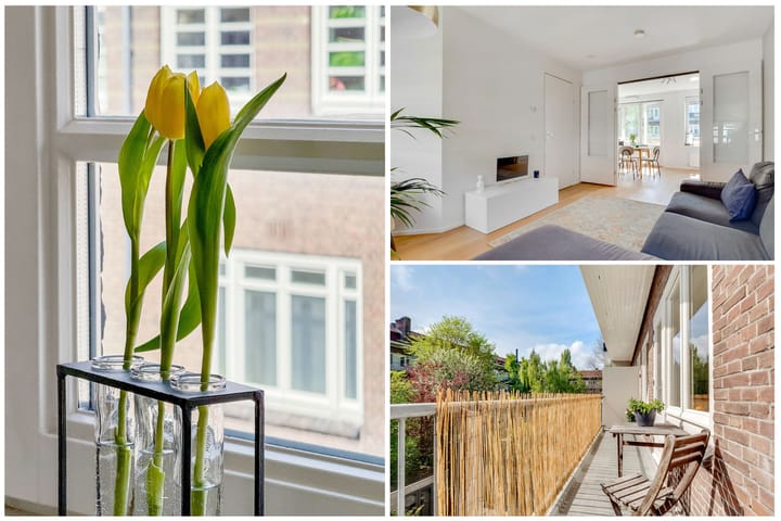 Foto 6 van Theseusstraat 16-2