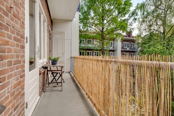 Foto 18 van Theseusstraat 16-2