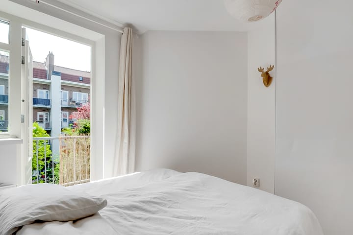 Foto 22 van Theseusstraat 16-2