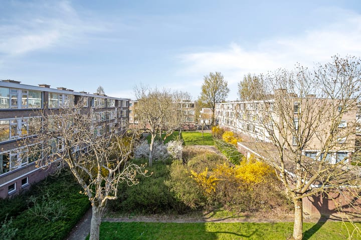 Foto 15 van Stuart Millpad 83